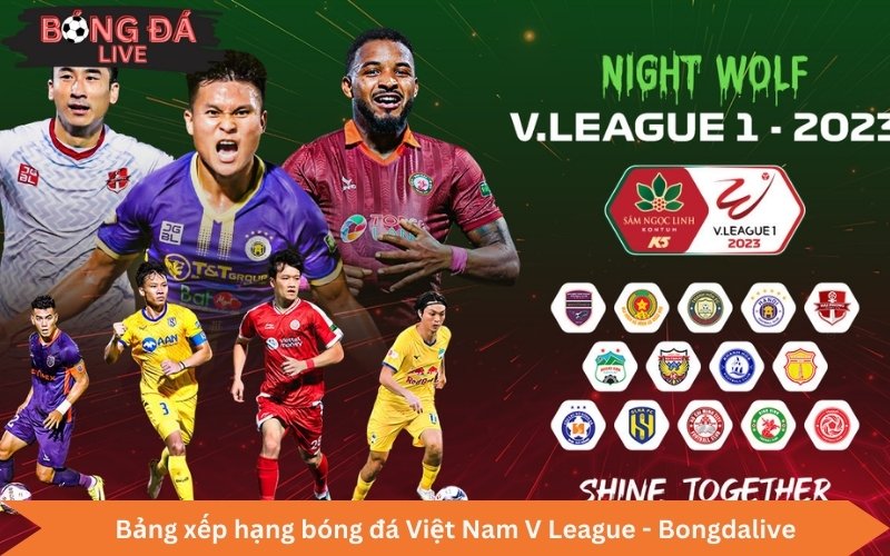 Bảng xếp hạng bóng đá Việt Nam V League