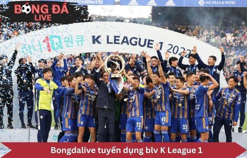 blv K League 1 tại Bongdalive môi trường làm việc chuyên nghiệp