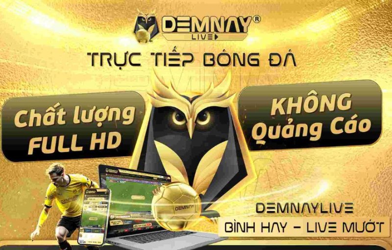 nền tảng xem trực tiếp bóng đá