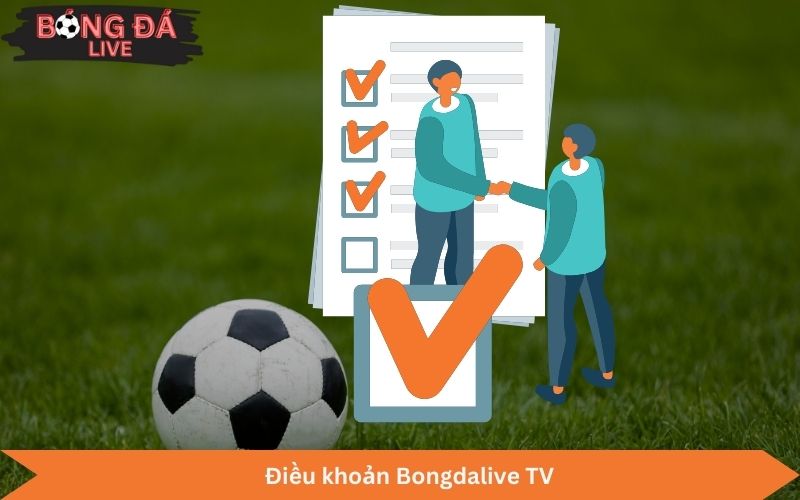 Điều khoản Bongdalive TV